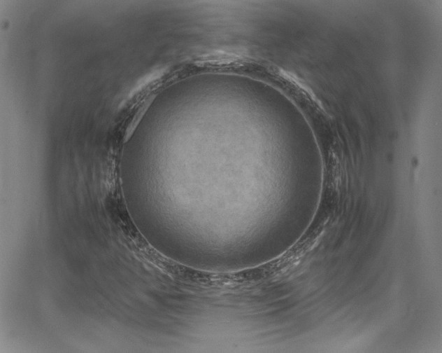 X0000064061350200601271242