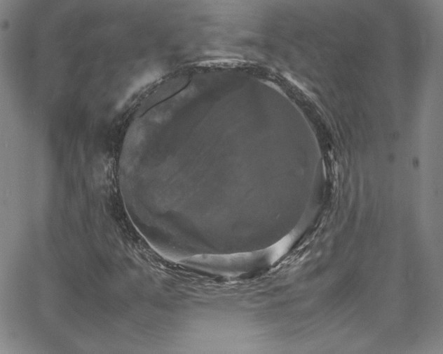 X0000064061351200601271242