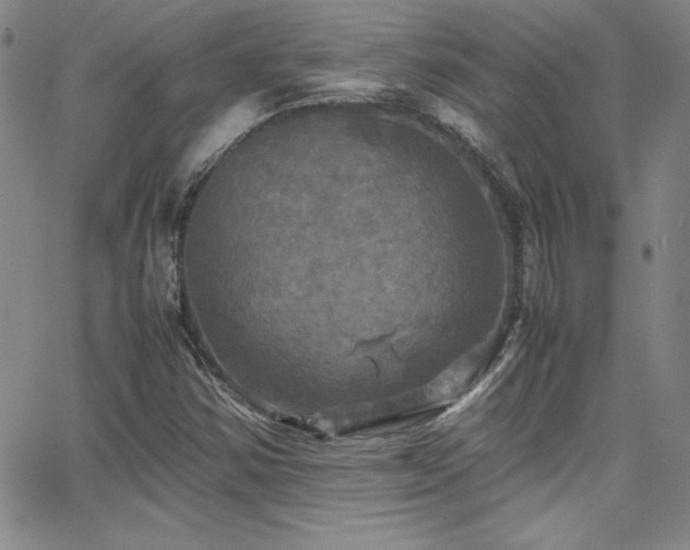 X0000064061354200601271242