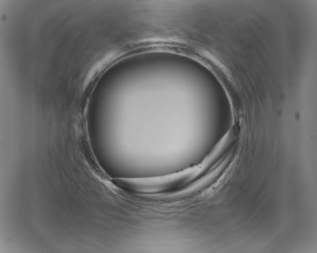 X0000064061357200601271242