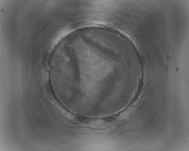 X0000064061363200601271242