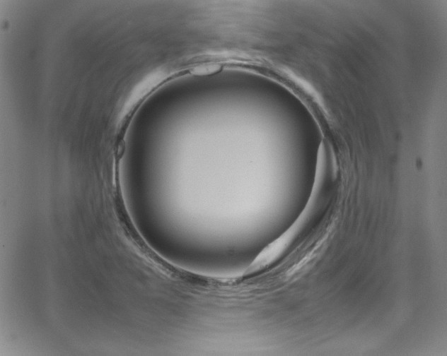 X0000064061365200601271242