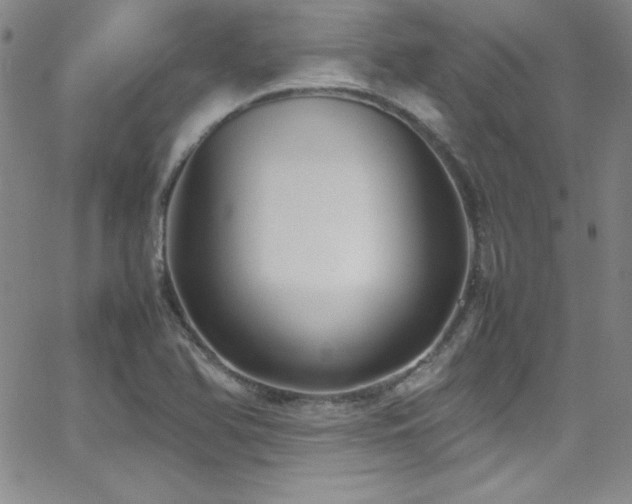 X0000064061366200601271242