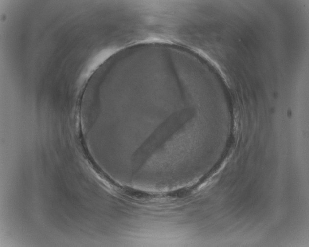 X0000064061367200601271241
