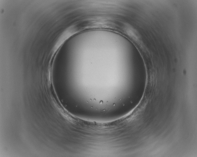 X0000064061370200601271241