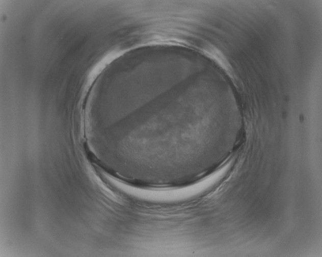 X0000064061371200601271241