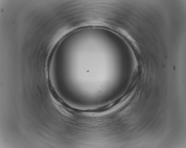 X0000064061372200601271241
