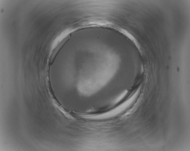 X0000064061373200601271241