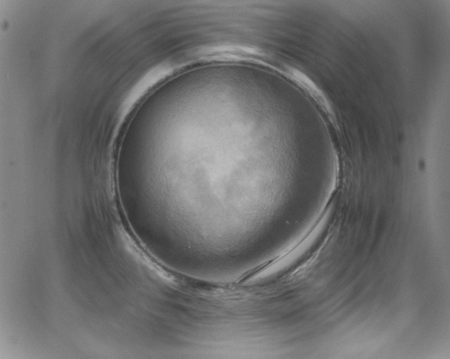 X0000064061384200601271241