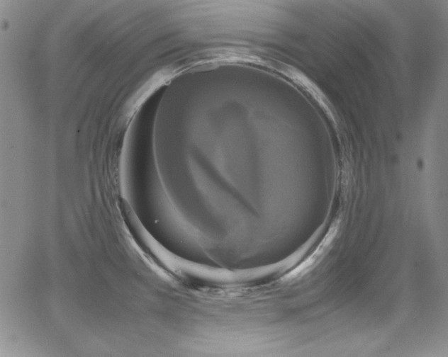 X0000064061385200601271241