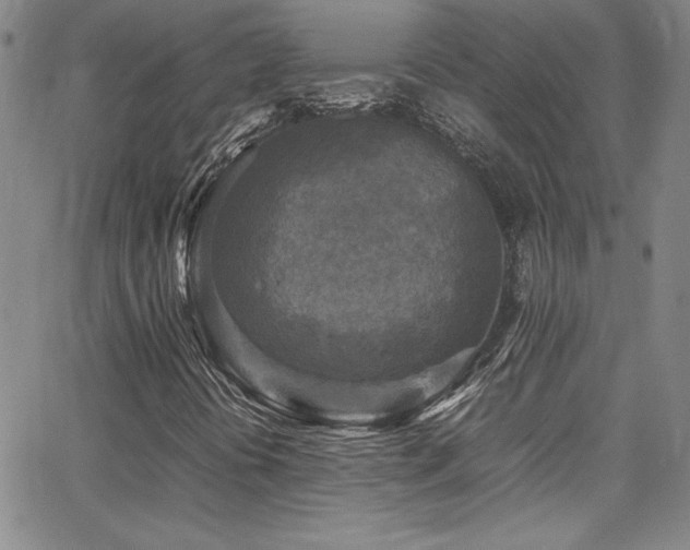 X0000064061394200601271240