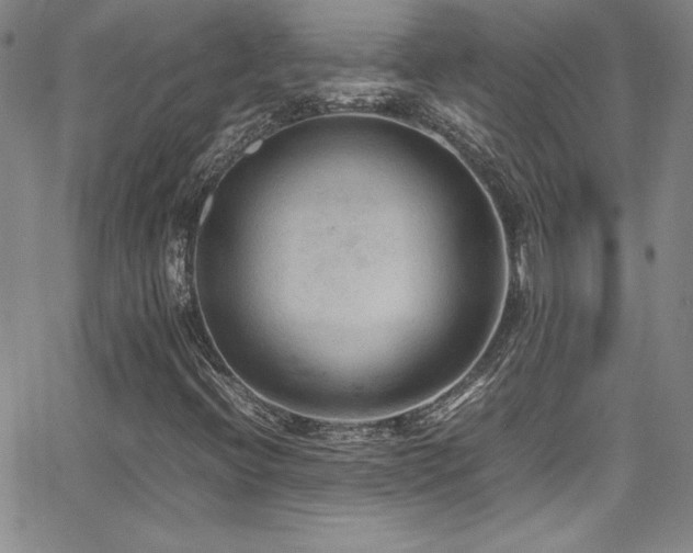 X0000064061396200601271240