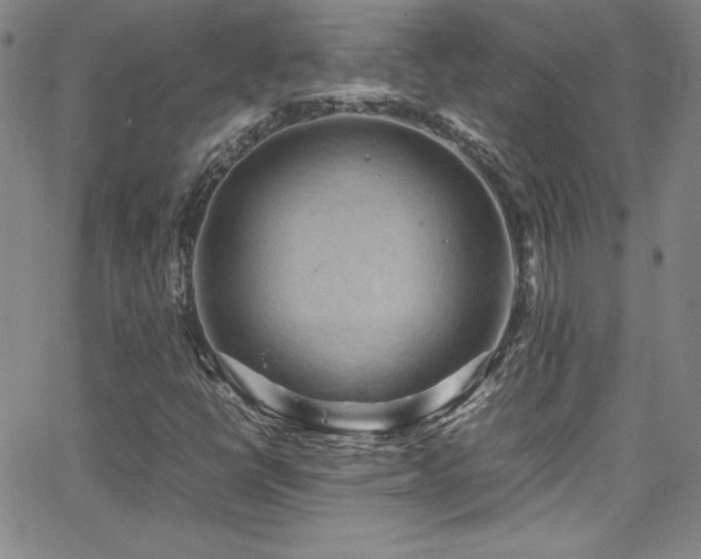 X0000064061398200601271240