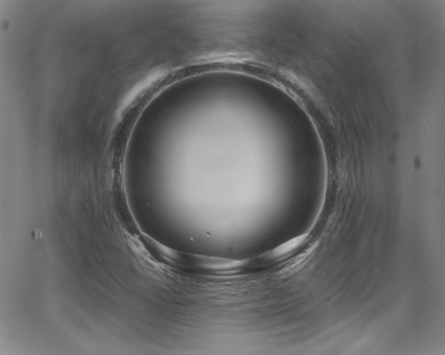 X0000064061406200601271241