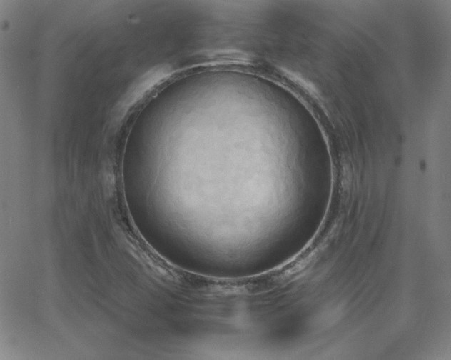 X0000064061407200601271241