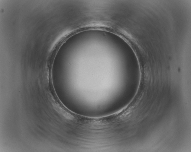 X0000064061408200601271241
