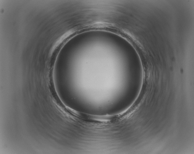 X0000064061410200601271241