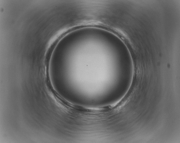 X0000064061414200601271241