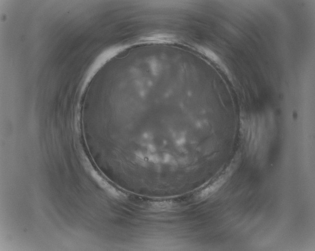 X0000064061421200601271241