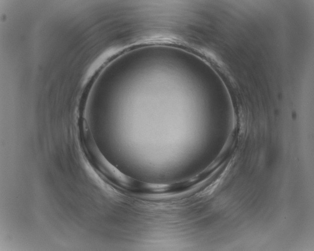 X0000064061422200601271241