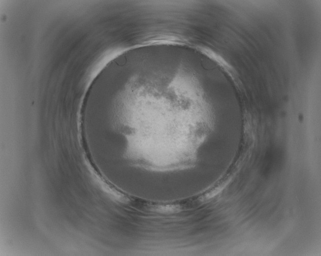 X0000064061423200601271241