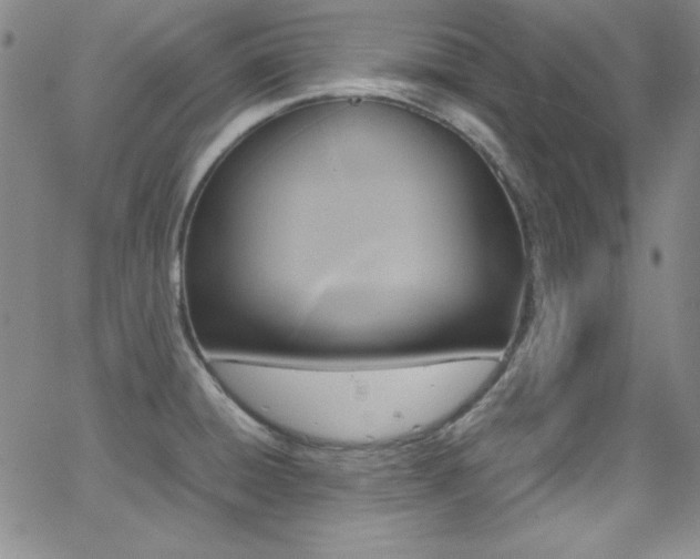 X0000064061428200601271241