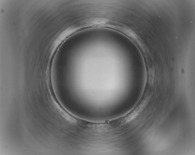 X0000064061432200601271241