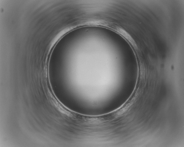 X0000064061436200601271241