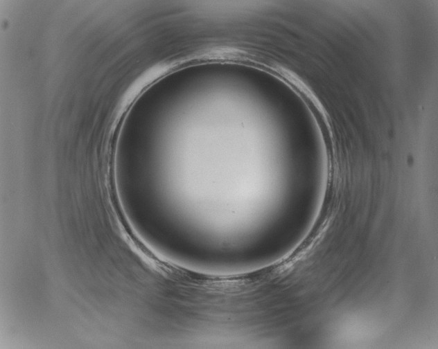 X0000064061437200601271241
