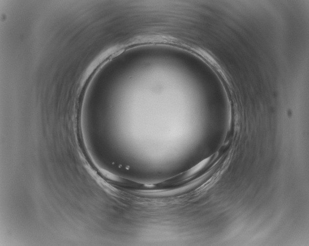 X0000064061438200601271241