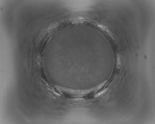 X0000064061445200601271240