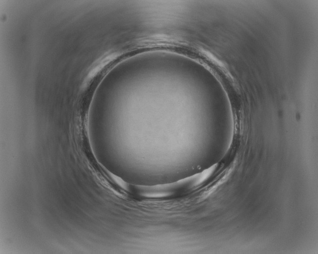 X0000064061453200601271240