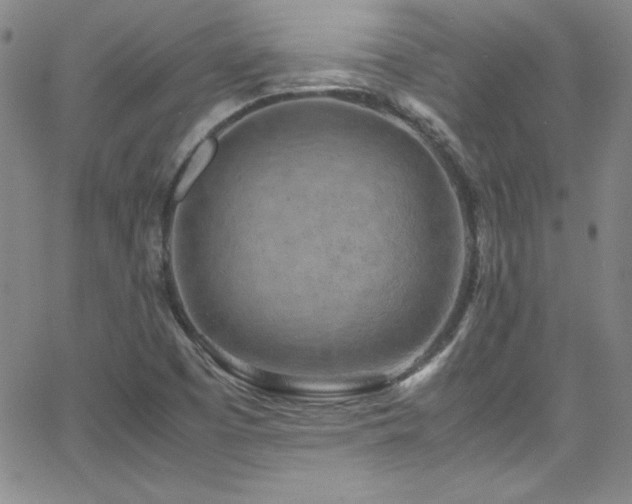 X0000064061457200601271240