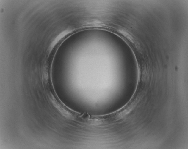 X0000064061458200601271240
