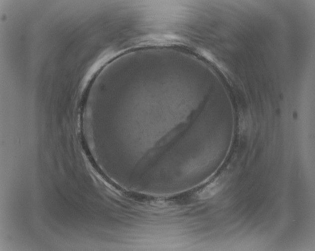 X0000064061459200601271240