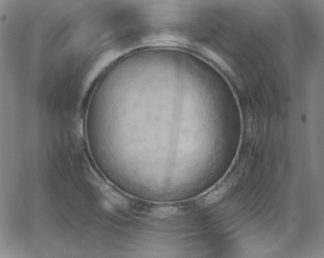 X0000064061462200601271240