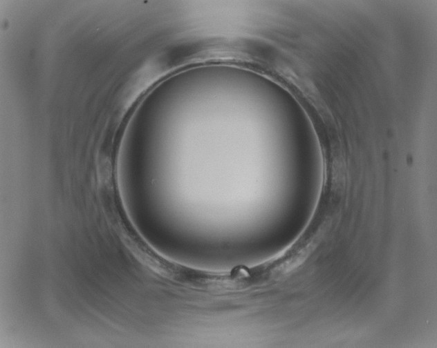 X0000064061465200601271240
