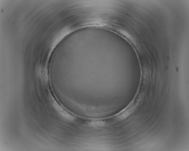 X0000064061466200601271240