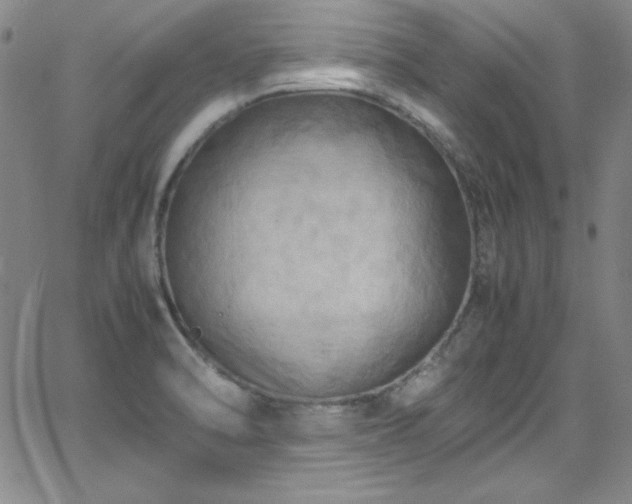 X0000064061470200601271240