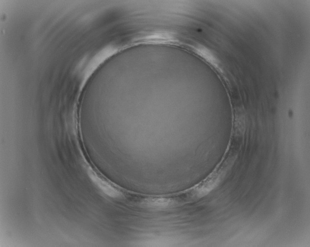 X0000064061474200601271240
