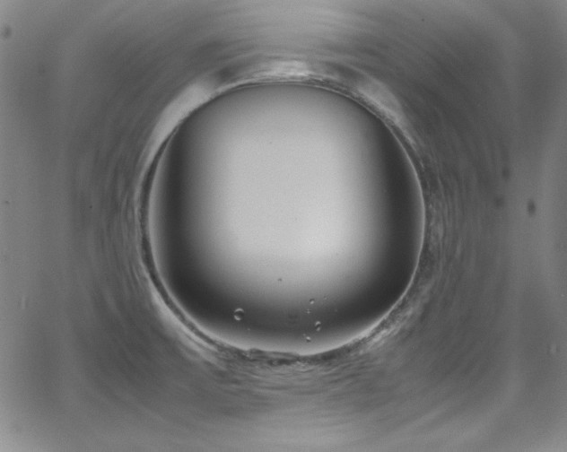 X0000064061475200601271240