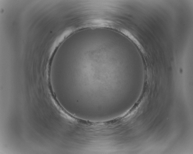 X0000064061477200601271240