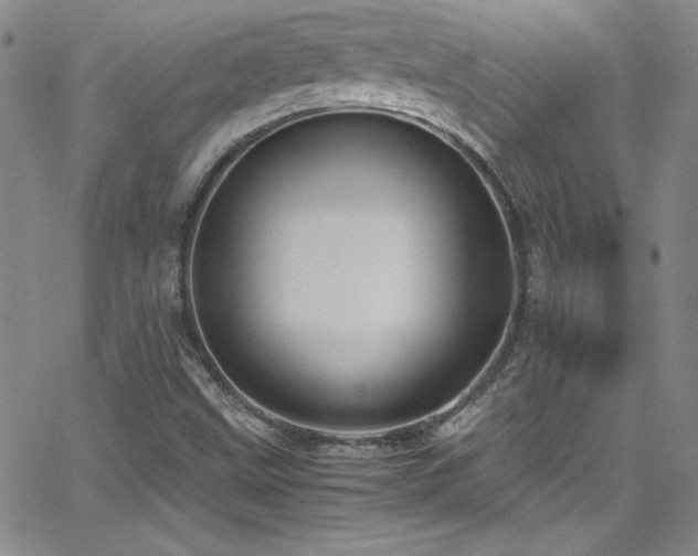 X0000064061499200601271239