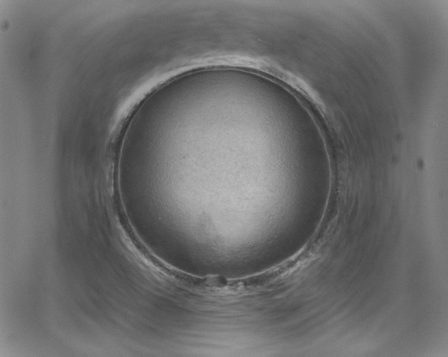 X0000064061504200601271239