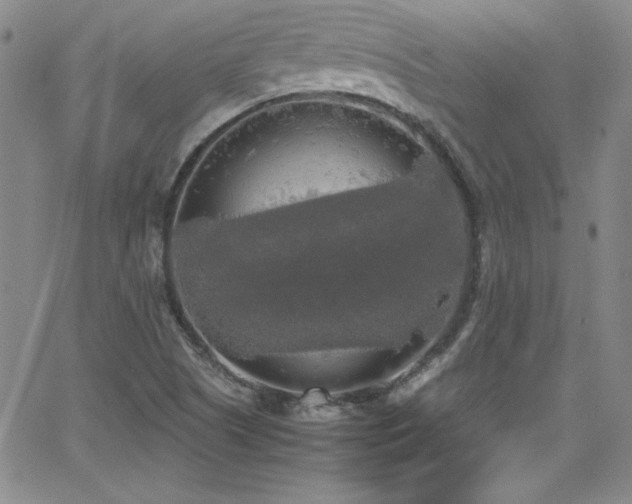 X0000064061505200601271239