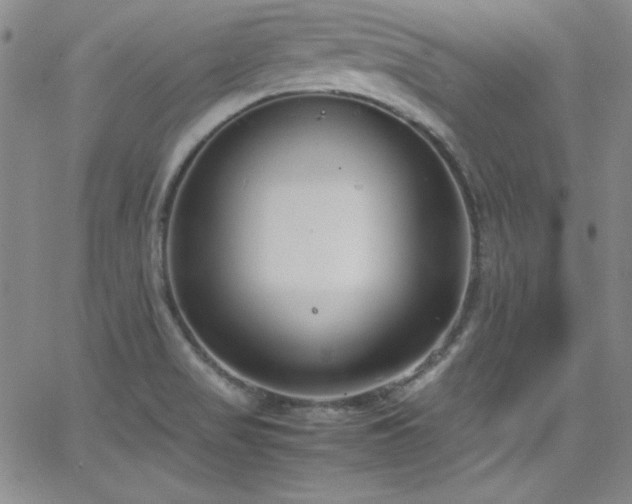X0000064061517200601271239