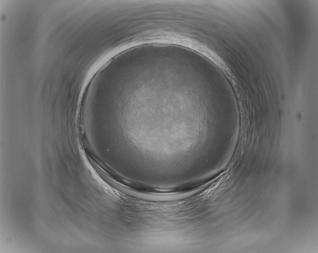 X0000064061536200601271240