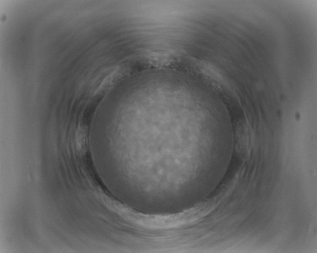 X0000064060034200601301250