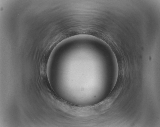 X0000064060044200601301250