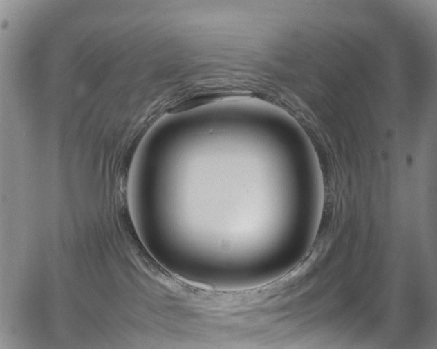 X0000064060045200601301249